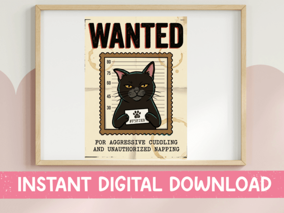 Wanted Cat Aggressive Cuddling